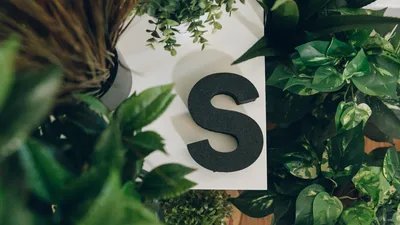 3d printer S on a desk beside some plants