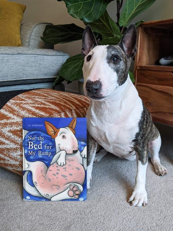 FB IMG 1600603637141